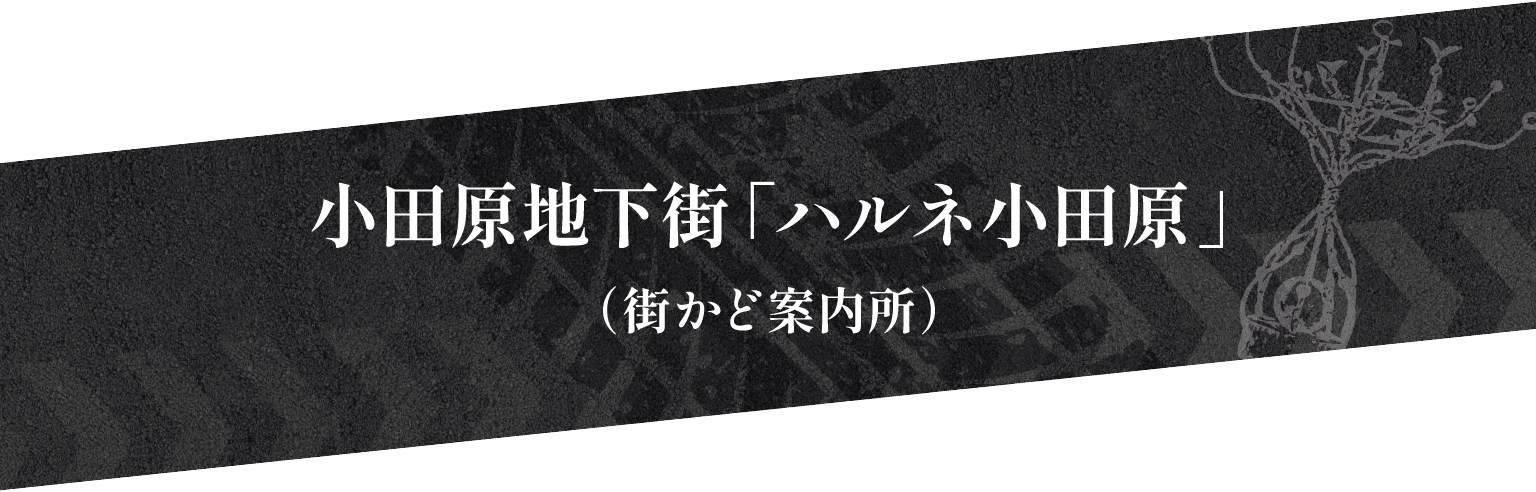 小田原地下街「ハルネ小田原」（街かど案内所）